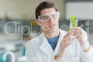 Student standing at the laboratory looking at the beaker