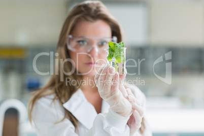 Woman standing at the laboratory holding a glass with plant