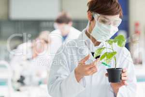 Woman standing at the laboratory holding a plant adding chemical
