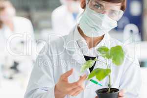 Woman holding a plant adding green liquid to soil