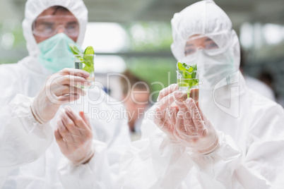Students standing at the laboratory holding up beakers with plan