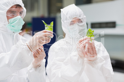 Students in protective suits looking at plants in beakers
