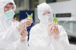 Students in protective suits looking at plants in beakers