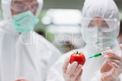 Students experimenting with a tomato