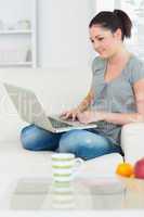 Smiling woman using a laptop on the couch