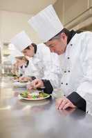 Concentrated Chef's preparing their salads