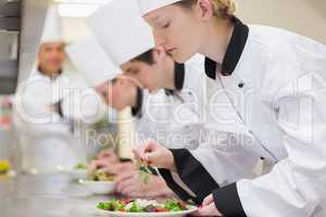 Trainee Chef's preparing salads