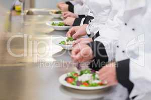 Team of Chef's preparing salads