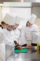 Culinary students learning how to chop vegetables