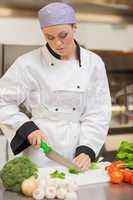 Chef preparing the vegetables