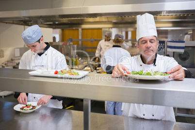 Head chef inspecting salad before service