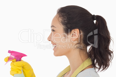 Cheerful woman using a window cleaner