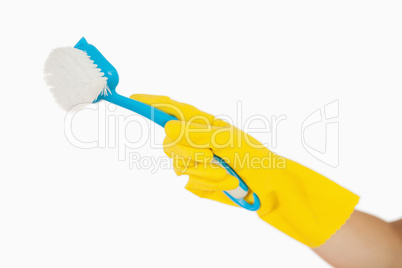 Female hand holding scrubbing brush