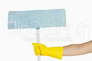 Hand holding mop