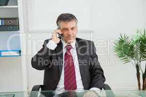 Businessman phoning in his office