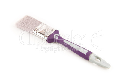 Purple paintbrush