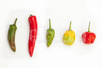 Line up of spicy chillies