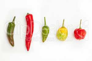 Line up of spicy chillies