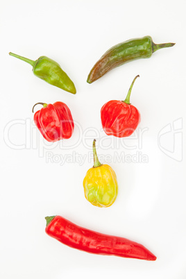 Different types of chile's