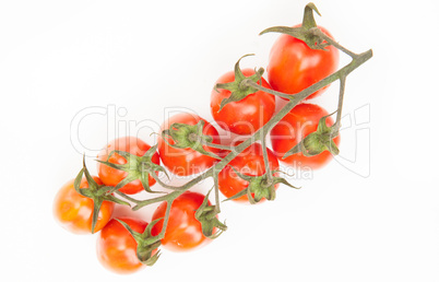 Vine tomatoes