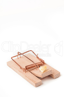 Mousetrap with cheese