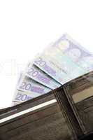 Euro notes fanning out of wallet