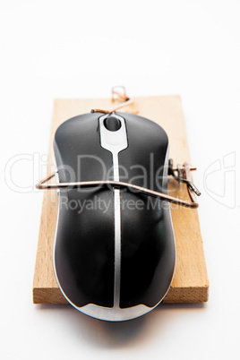 Computer mouse in a mousetrap