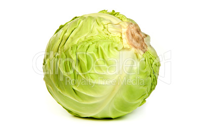 Green cabbage isolated on white