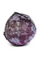 Red cabbage on white background.
