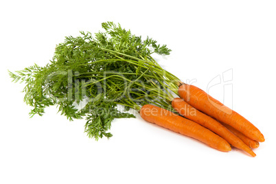 Bunch of fresh carrot isolated on white