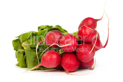 A bunch of fresh radishes isolated on white
