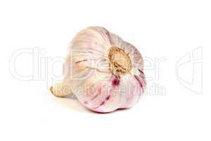 A head of garlic isolated on white