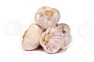 Group of garlics . A heads of garlics isolated