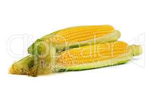 Ear of corns with husk. Isolated on white.