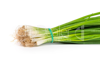 Fresh scallions isolated on white