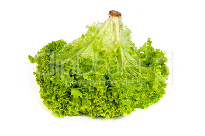 Fresh Green Lettuce isolated on white