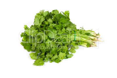 Parsley tied in a bunch with twine isolated