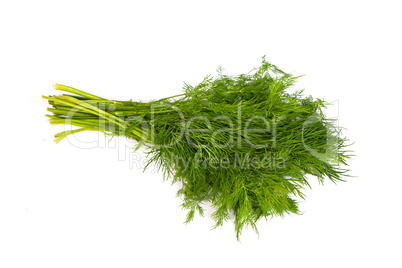 Fresh branches of green dill isolated