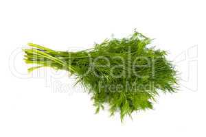 Fresh branches of green dill isolated