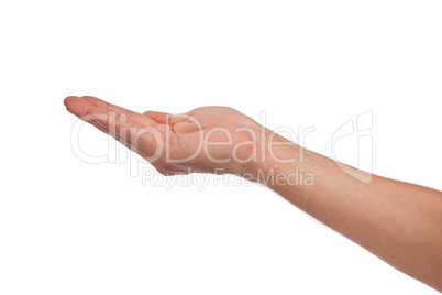 Open palm hand gesture of male hand