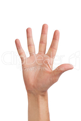 Hand gesture number five closeup isolated on white