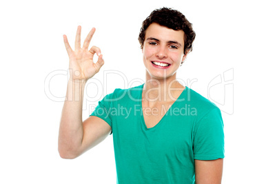 Cheerful young boy showing perfect sign