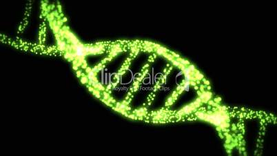 Appearing and dissapearing DNA helix