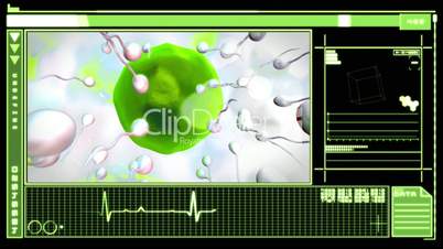 Medical digital interface showing egg cell fertilization