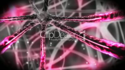Neuron travelling through nervous system