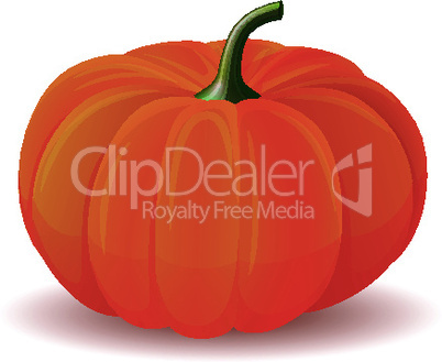 Pumpkin isolated on white.