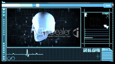 Medical digital interface showing skull