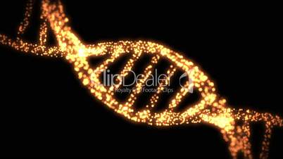 Appearing and dissapearing DNA helix