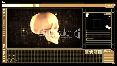Digital interface showing skull
