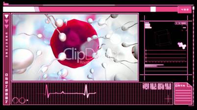 Interface showing digital fertilization of egg